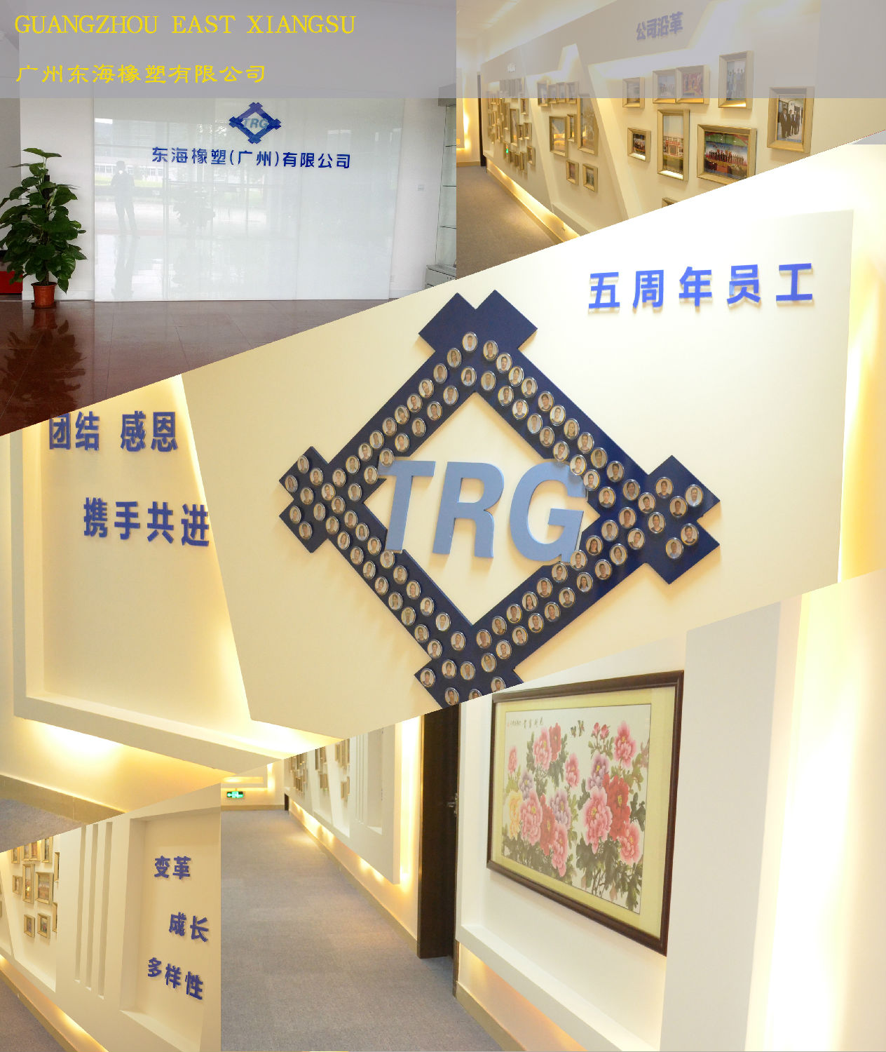 東海辦公室5G天天看5G天天爽.jpg