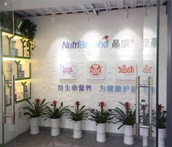 蘿崗紐贔康辦公室5G天天看5G天天爽項目順利完工